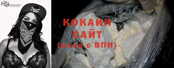 шишки Балабаново