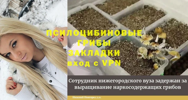 шишки Баксан