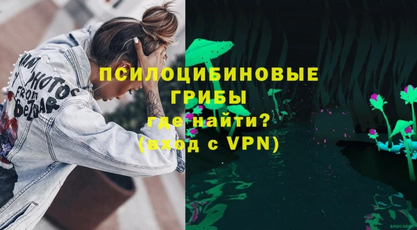 шишки Балабаново