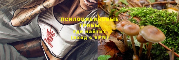 apvp Балахна