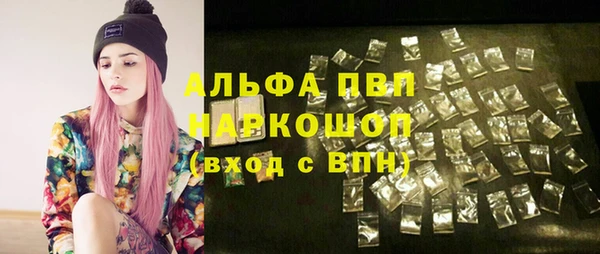 шишки Баксан