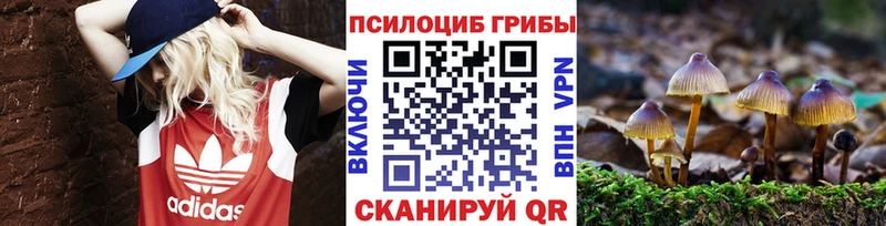 где купить наркоту  Северо-Курильск  Галлюциногенные грибы прущие грибы 
